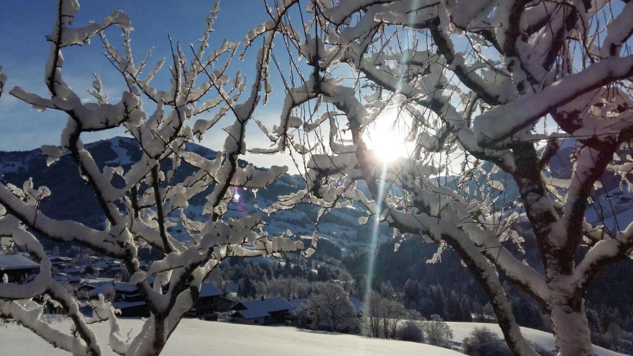 Aussermoos-Zuhaus Alpbach Kültér fotó