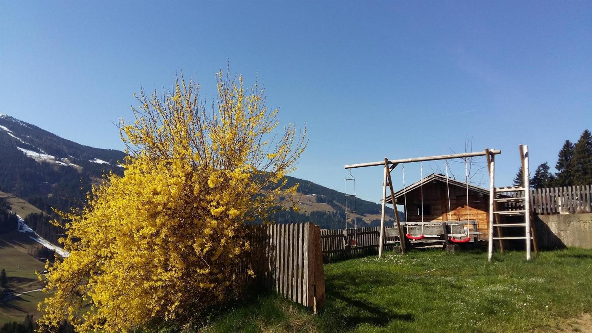 Aussermoos-Zuhaus Alpbach Kültér fotó